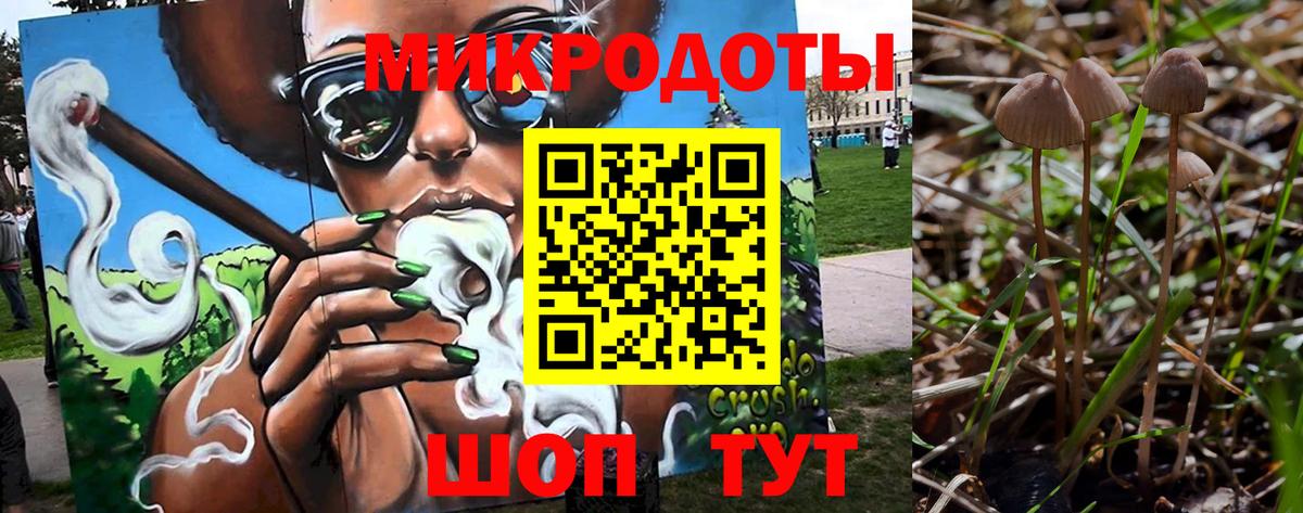 Псилоцибиновые грибы прущие грибы  Вход с VPN  Галлюциногенные грибы Psilocybe  Волгоград 