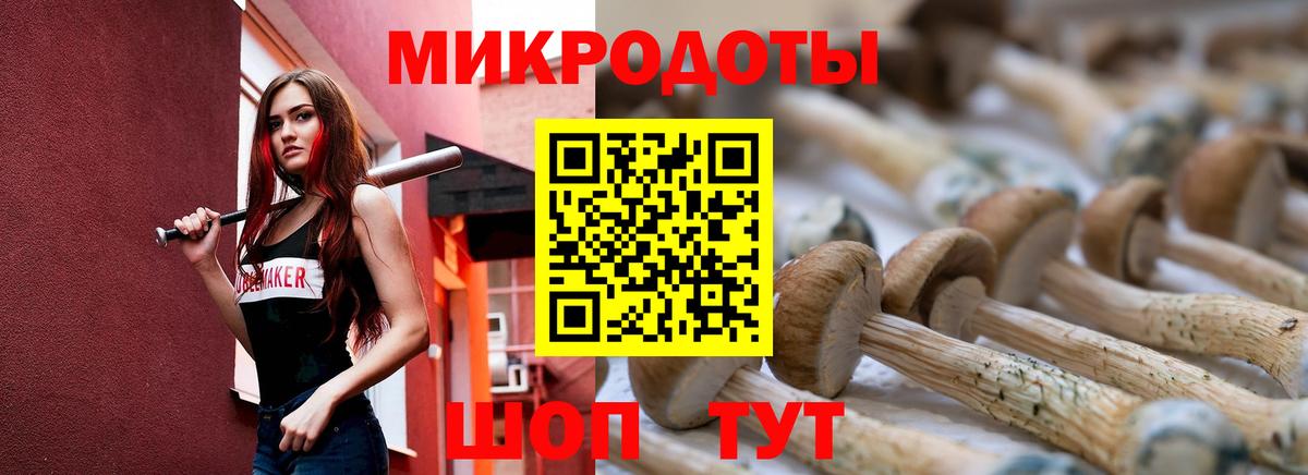 Галлюциногенные грибы Magic Shrooms Волгоград